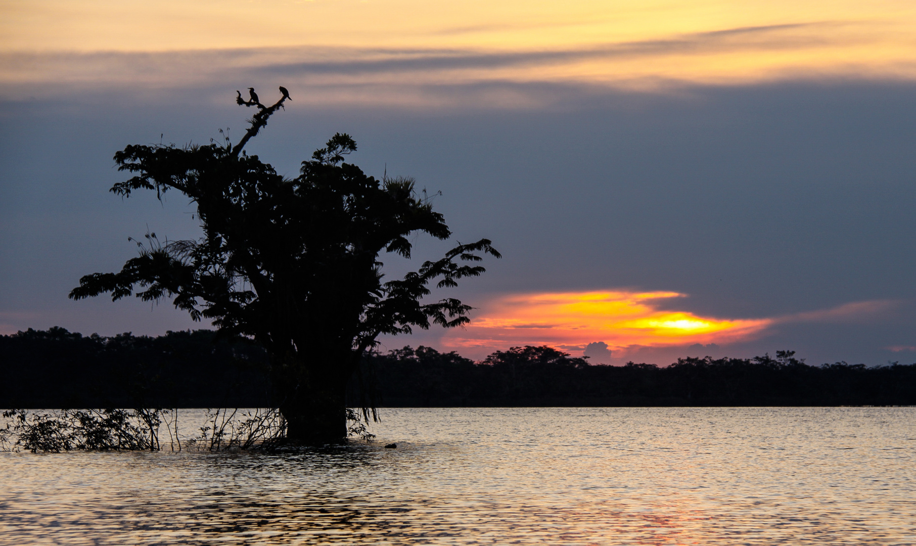 La puesta de sol