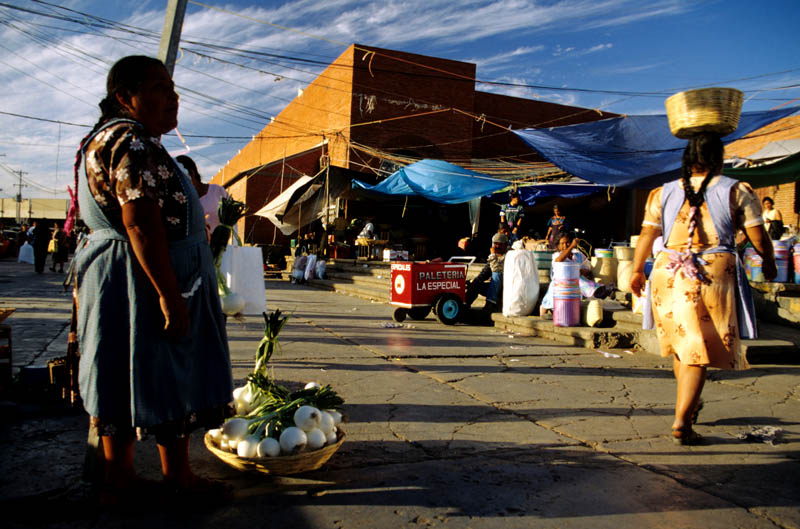 la puesta en el mercado