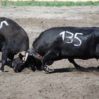 la puissance