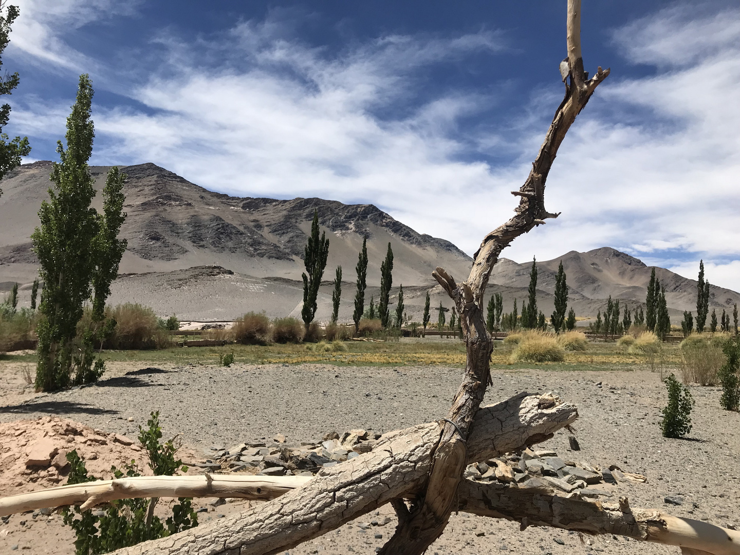 La Puna - Argentina