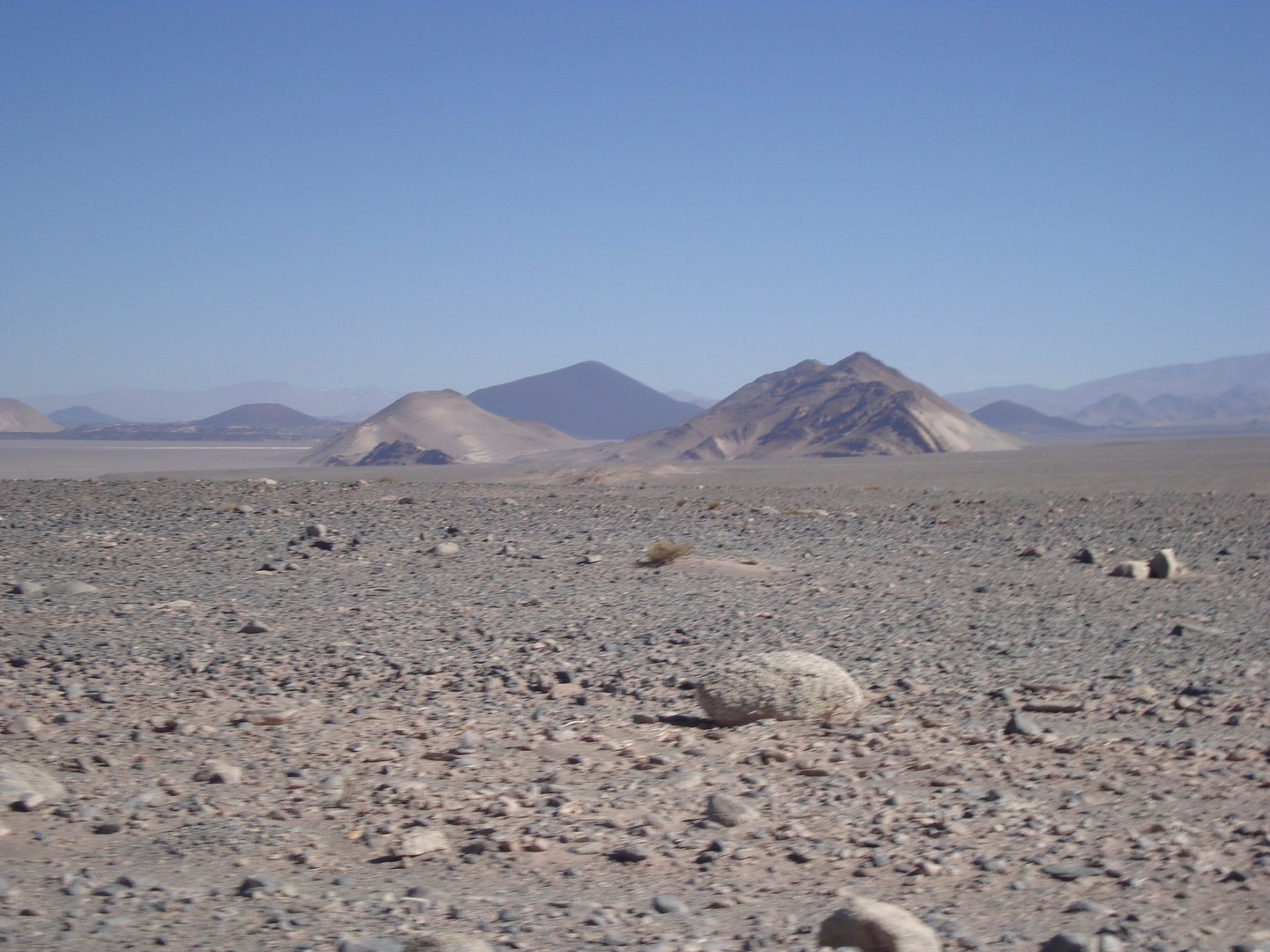 La Puna - Argentina