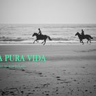 La PURA VIDA