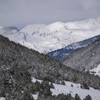 La pureza de la nieve