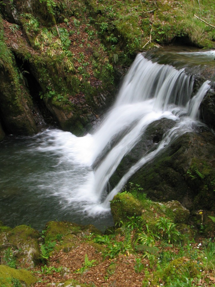 "La pureza del agua"