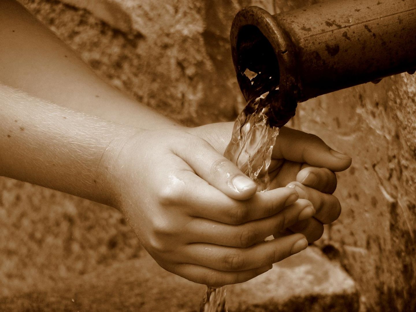 La pureza del agua en manos de un niño