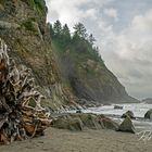 La Push - 1st beach