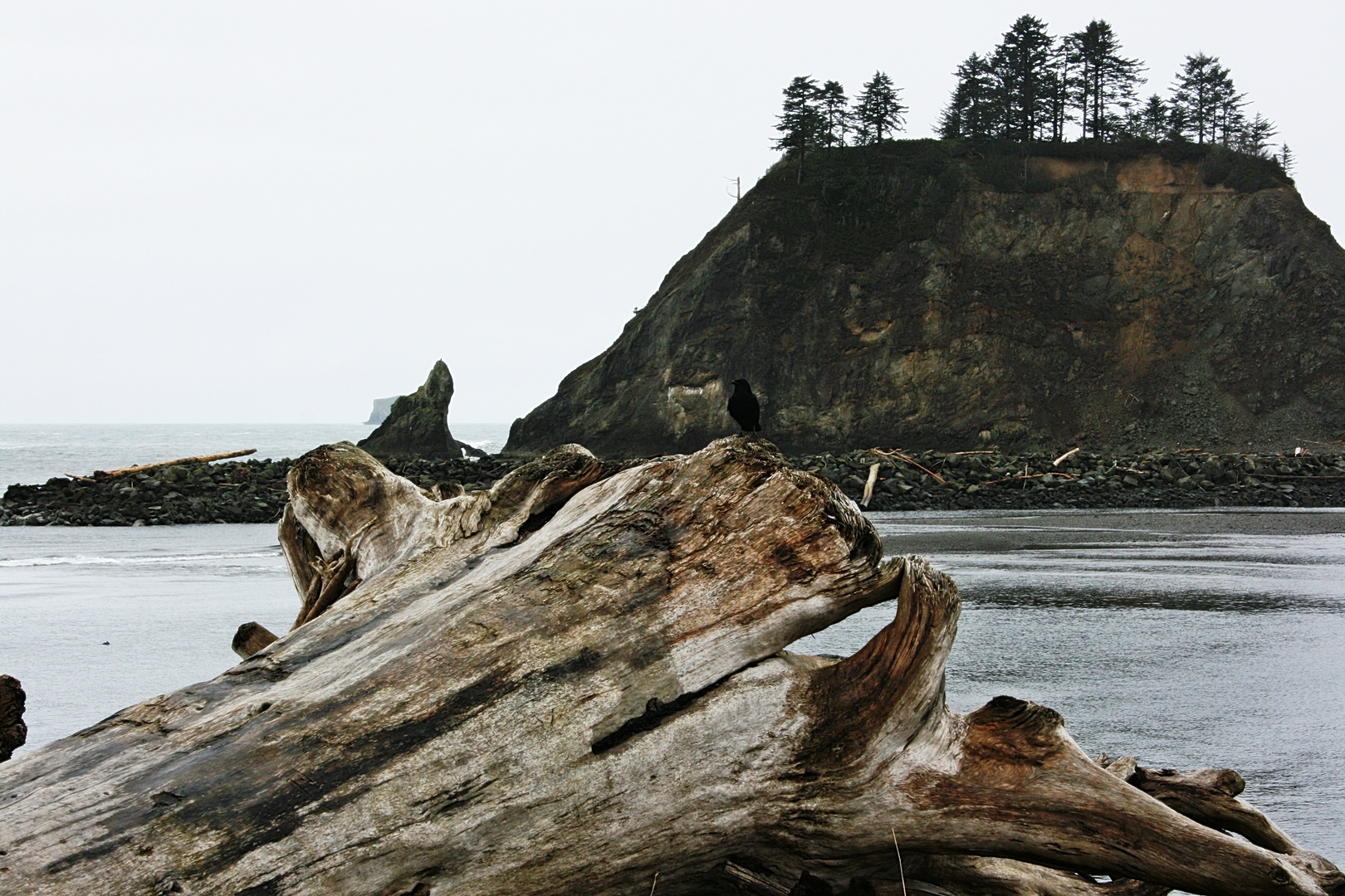 La Push