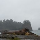 La Push