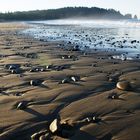 La Push - First Beach