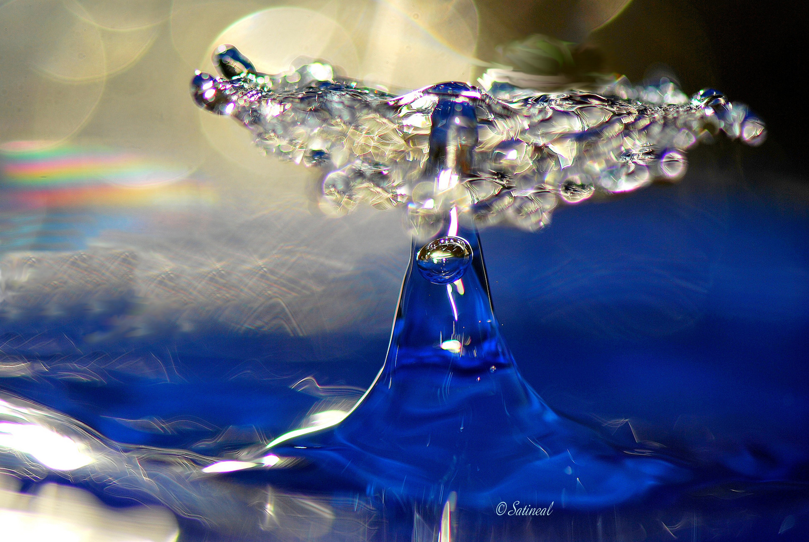 La queue de la baleine bleue photo et image | emotions, imagin tabl'eau, macro Images fotocommunity