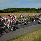 la queue du peloton, on se bouscule pas trop!