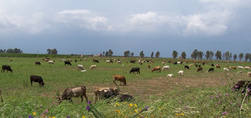 La quiete e la tempesta