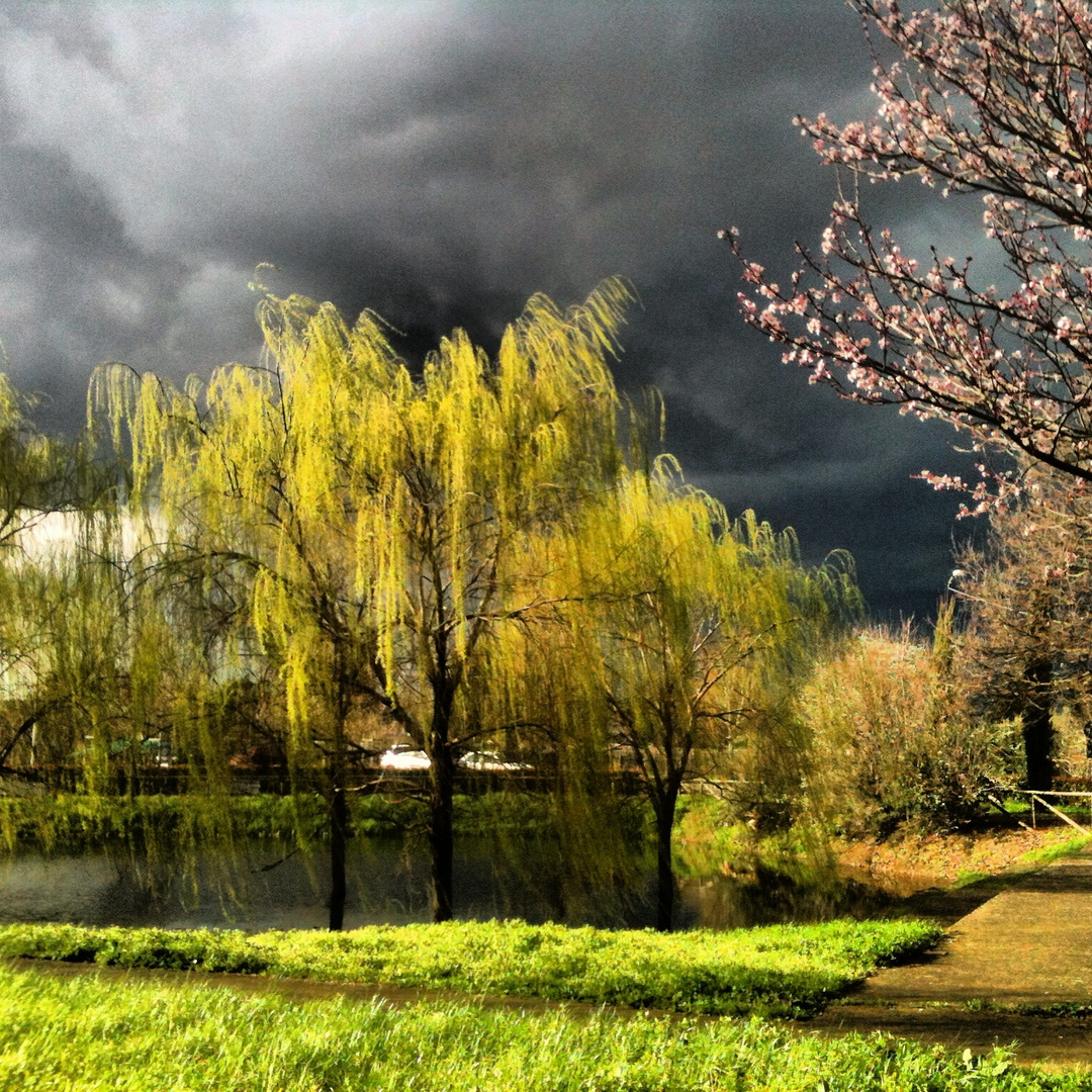 La quiete prima della tempesta