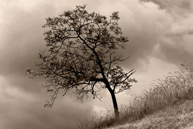 ...la quiete prima della tempesta