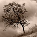 ...la quiete prima della tempesta