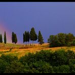 La quiete prima della tempesta