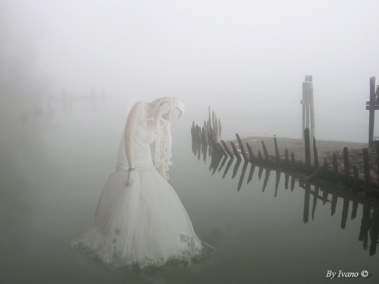 La ragazza del lago