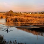 la ragazza e il fiume