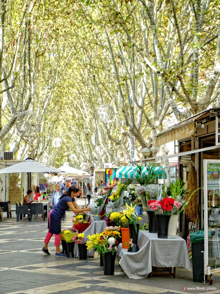 La Rambla