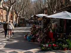 La Rambla, 2