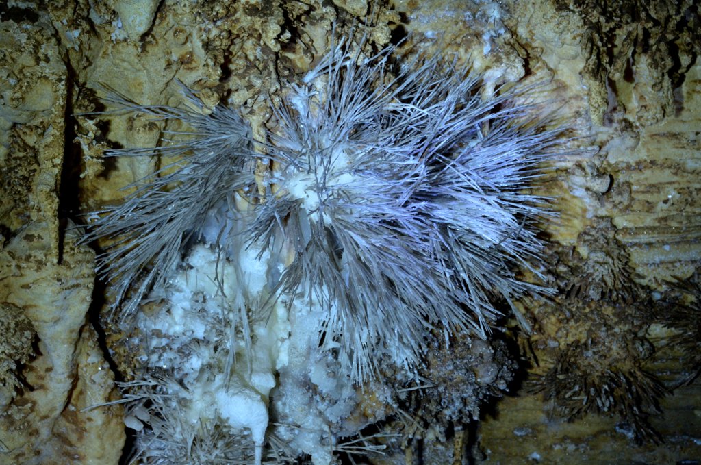 la rara fornazione di cristalli in gruta di Torinha, Brasile