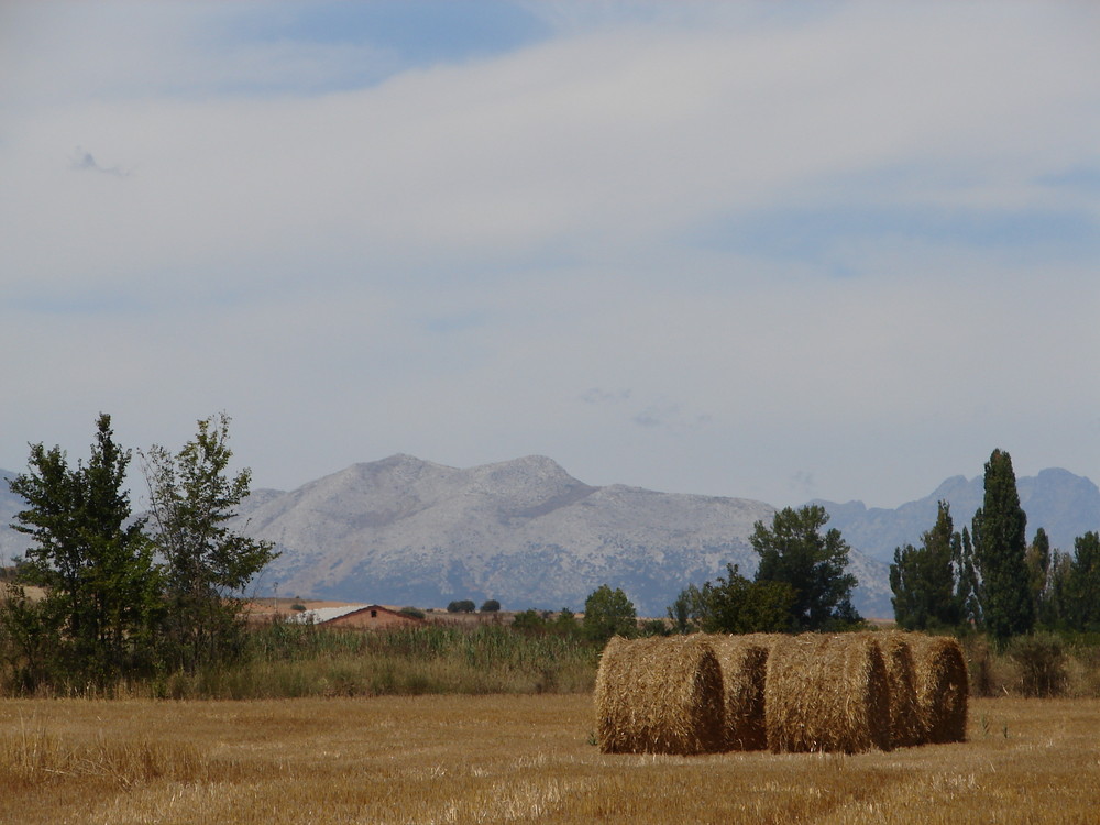 La recogida