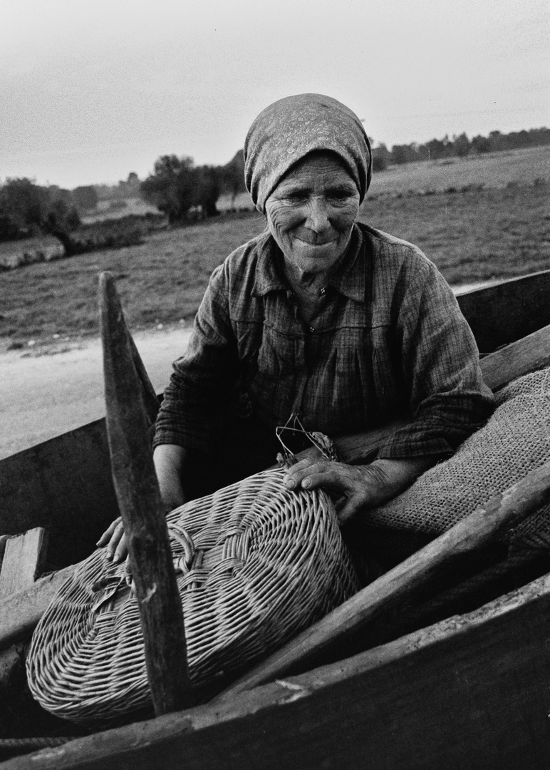 LA RECOLECTORA DE PATATAS.