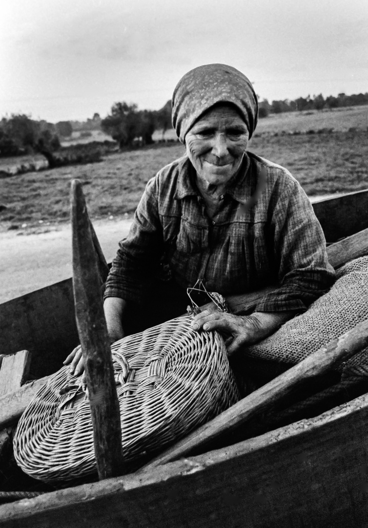 LA RECOLECTORA DE PATATAS