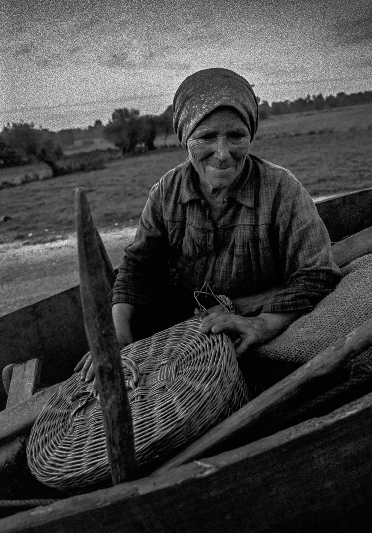 LA RECOLECTORA DE PATATAS