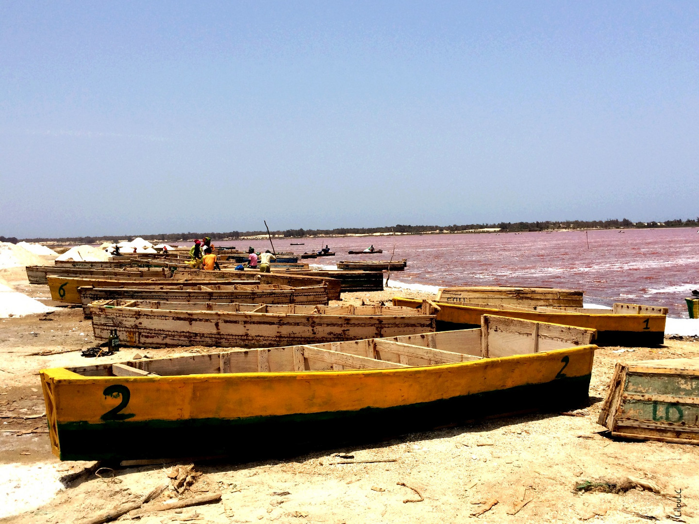 La récolte de sel au lac Rose