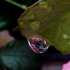 La refracción en una gota de lluvia.