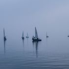 La regata nella nebbia