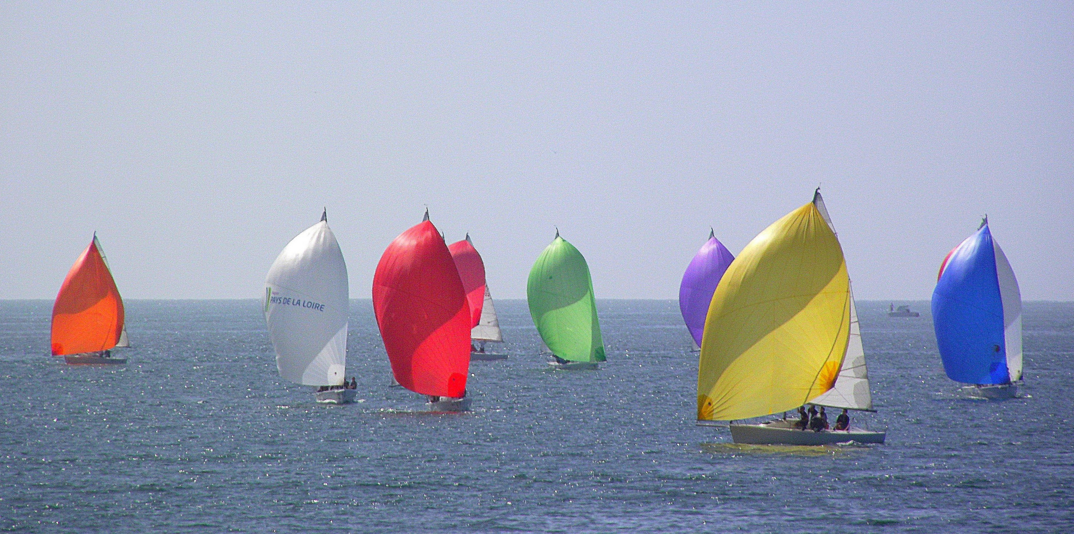 La régate