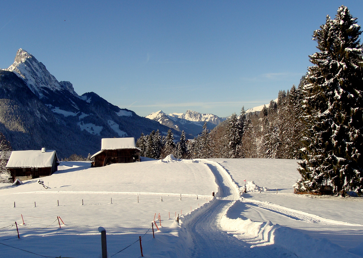 La région de Gstaad.01