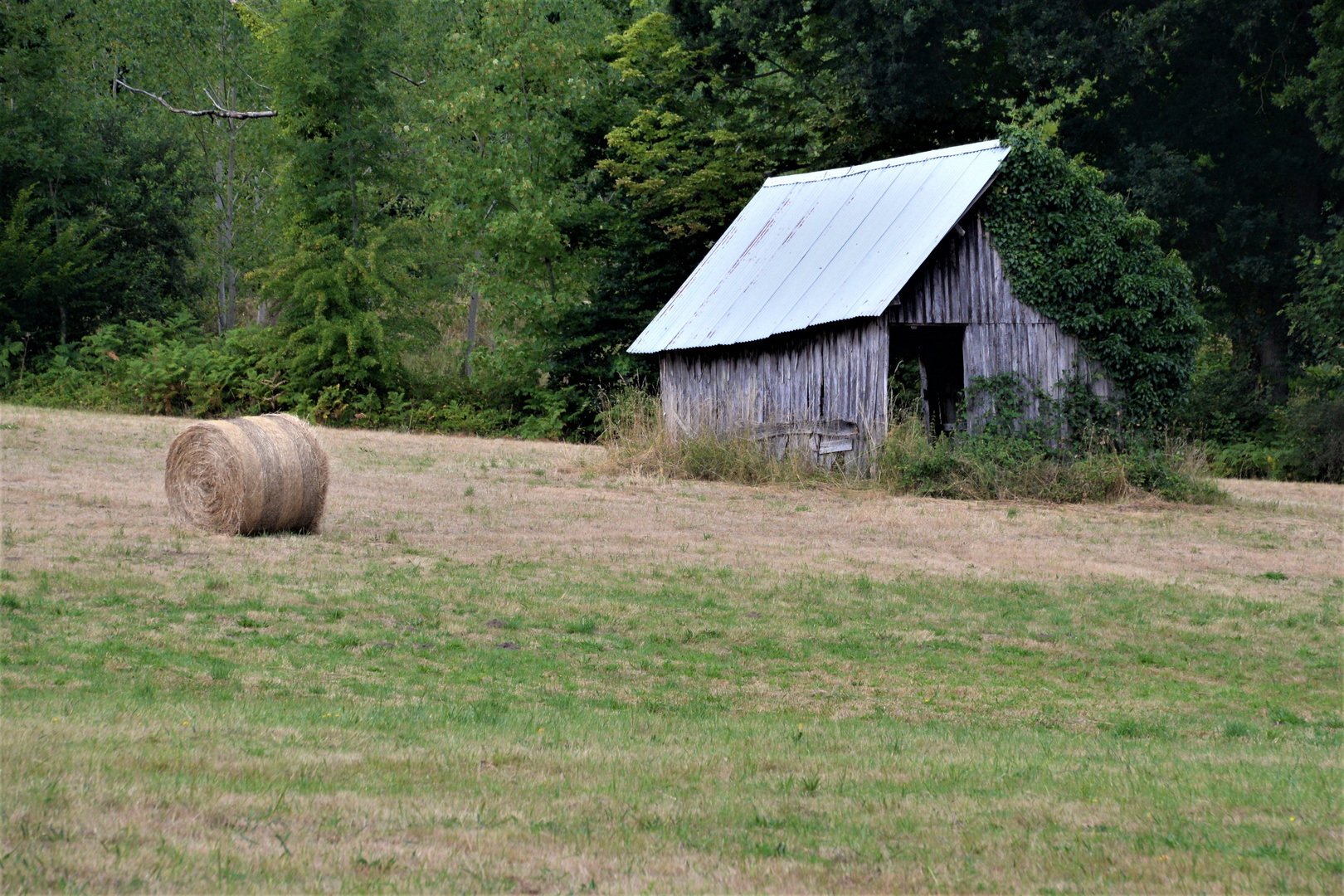 La remise 