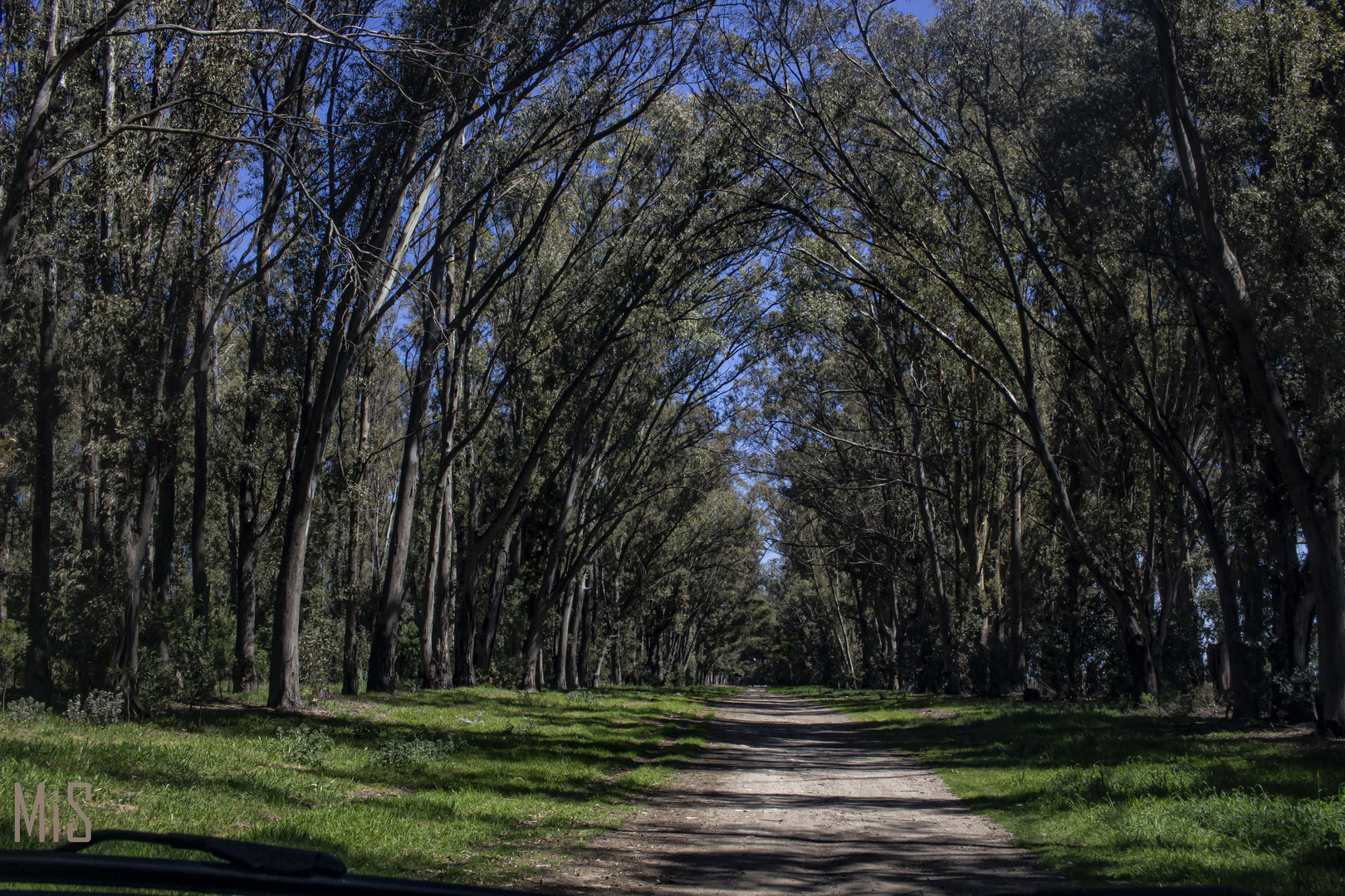 La reserva de Claromecó