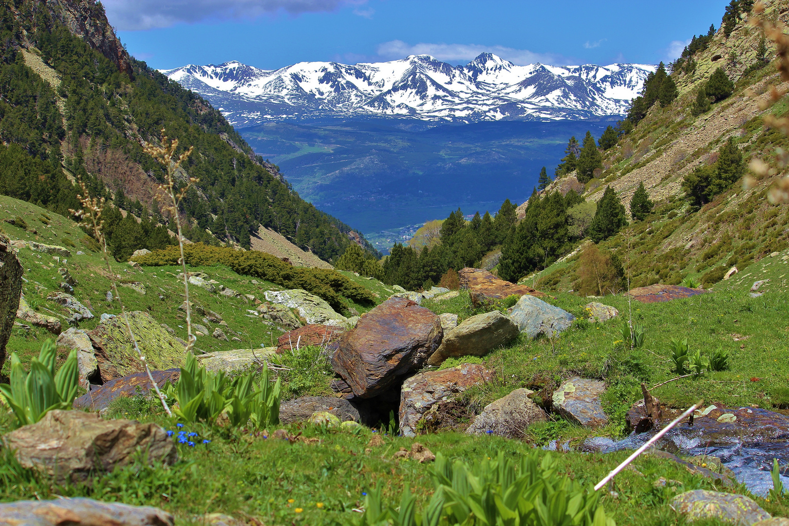 la réserve de la vallée d'Eyne