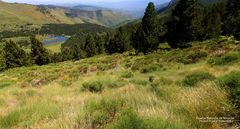 La réserve naturelle de Nohèdes 