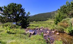 La réserve naturelle de Nohèdes 