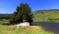 La réserve naturelle de Nohèdes 