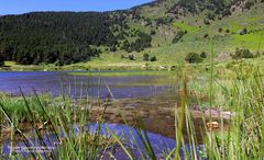 La réserve naturelle de Nohèdes 