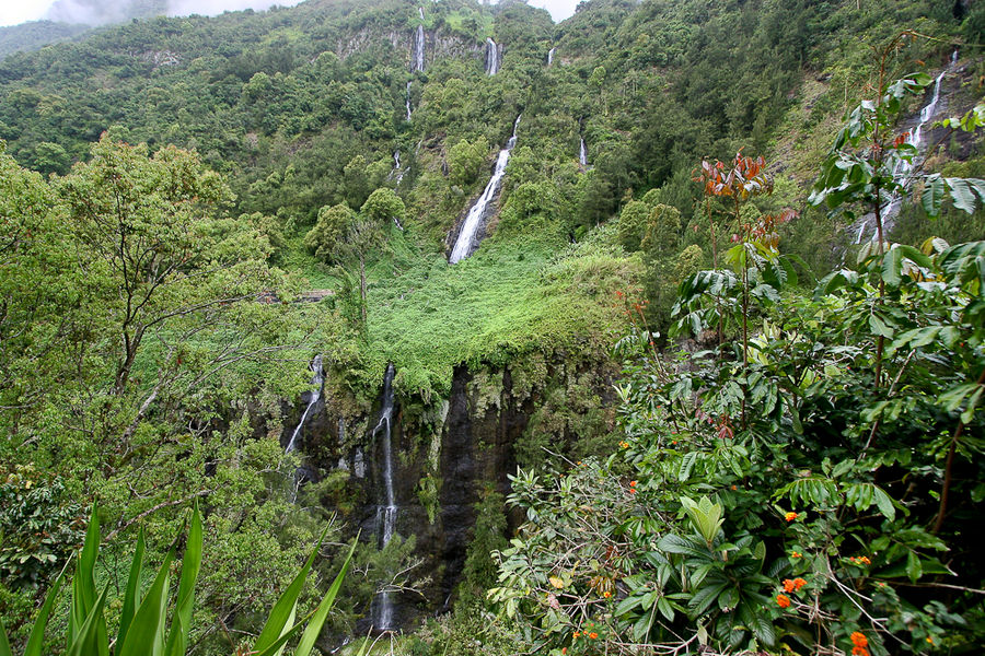 La Réunion (19)