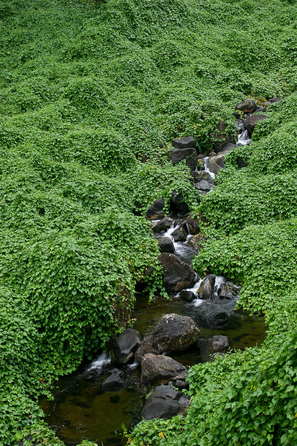 La Réunion (22)