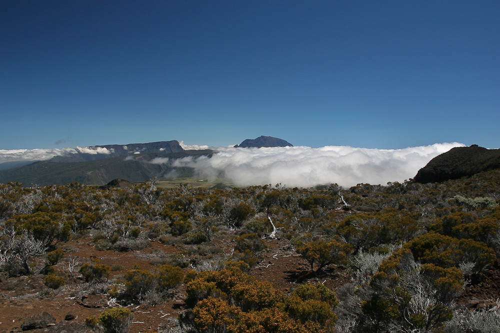 La Réunion (30)