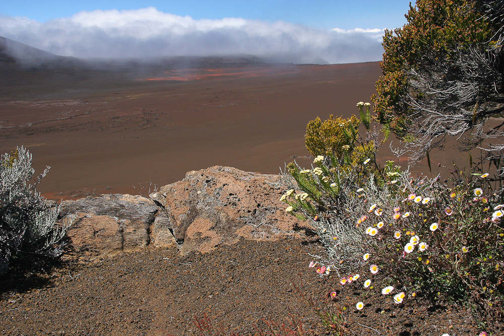 La Réunion (33)