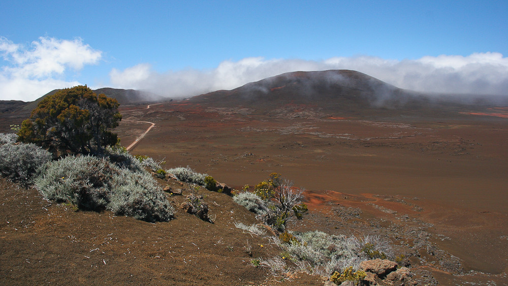 La Réunion (34)