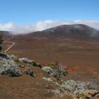 La Réunion (34)