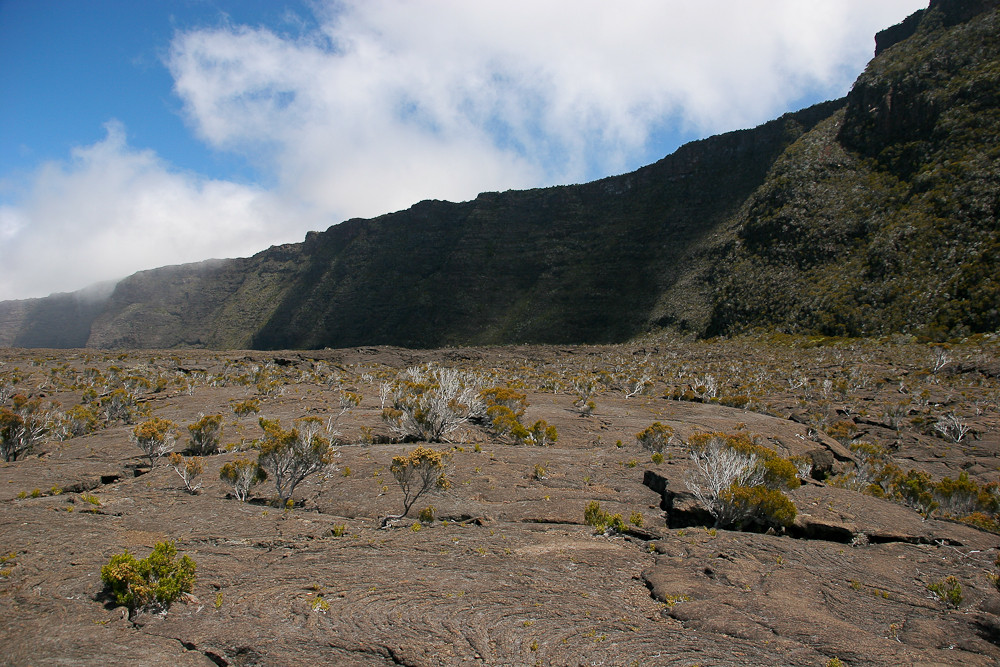 La Réunion (35)