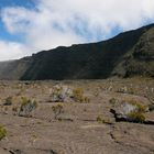 La Réunion (35)