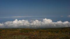 La Réunion (4)